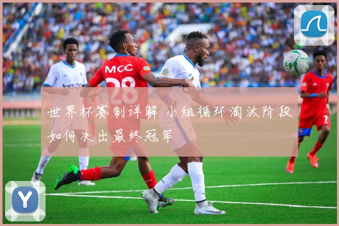 世界杯赛制详解 小组循环淘汰阶段如何决出最终冠军