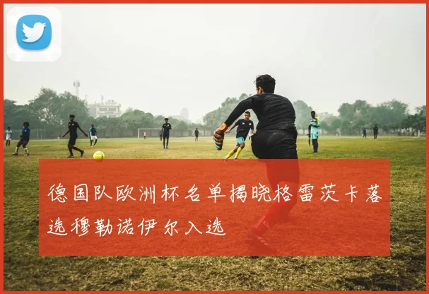 德国队欧洲杯名单揭晓格雷茨卡落选穆勒诺伊尔入选